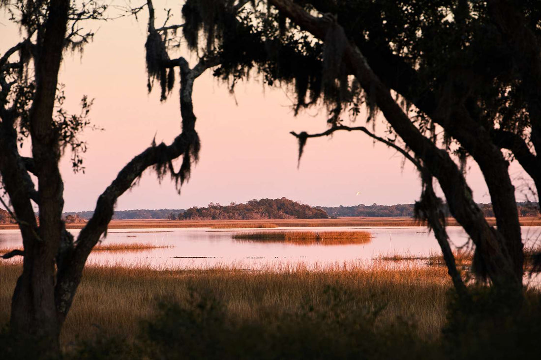 What Is the Lowcountry?