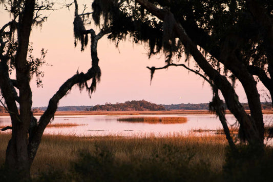 What Is the Lowcountry?